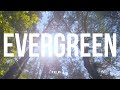 1Professor - Evergreen