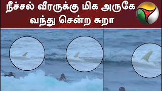 நீச்சல் வீரருக்கு மிக அருகே வந்து சென்ற சுறா | #shark