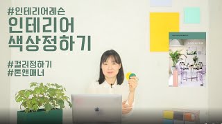 인테리어 컬러 정하기! 쿨톤vs 웜톤! 색상 꿀팁 플랜테리어 필수!