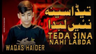 Tera Seena Nai Labda 13 Safar 2022 Noha | Waqas Haider
