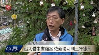 動保法修正三讀 殺傷害動物刑責提高 2017-04-12 TITV 原視新聞