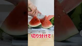 スイカの美味しい季節🍉#すいか #スイカ #shorts