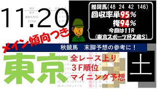 11月20日土曜日　東京競馬場　上り3F順位データ　東京スポーツ杯2歳S 2021(新馬戦　障害戦除く)