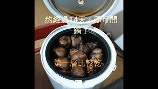 黑蒜頭自製，增強免疫力降三高