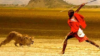 LION VS MAN FIGHT  /  lion vs man fight ,সিংহ বনাম মানুষ