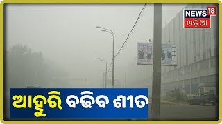 Weather Report 2019: ଆହୁରି ୨ ଦିନ ବଢ଼ିବ ଶୀତ