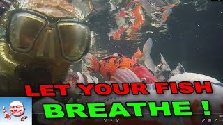 Let your fish breathe!