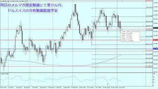 ドル円週明けに向け気になるボトムのパターン【為替　予想】