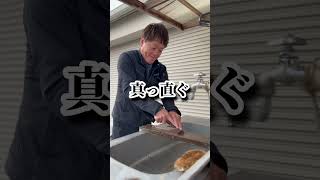 鑿を研ぐ動画。とにかく真っ直ぐ。#大工#鑿#丸鋸#diy#リフォーム