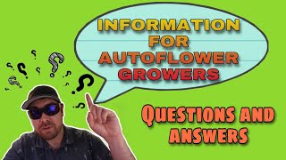 Information For Autoflower Growers - Questions and Answers