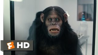 Scary Movie 5 (2013) - Rise of the Apes Scene (6/9) | Movieclips
