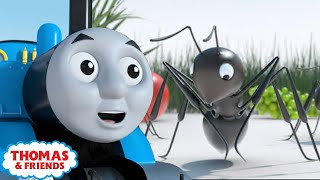 Kereta Thomas & Friends | Thomas dan Semut | Kereta Api | Animasi | Kartun