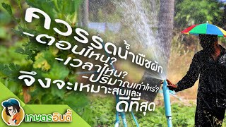 วิธีรดน้ำต้นไม้ให้ถูกวิธี มันต้องทำแบบนี้ | เกษตรอินดี้