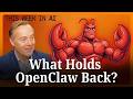 Is OpenClaw Flawed? Experts React | This Week in AI E001