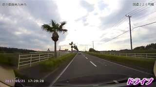 ドライブ【鹿児島県】～頴娃町の街路樹~　（国道２２６号線）