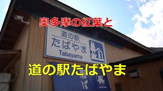 【えっ車中泊禁止？】奥多摩の紅葉を見ながら「道の駅たばやま」に行ってみた【道の駅シリーズ第二弾】