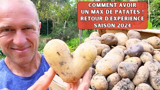 Pommes de terre ► Retour sur les points clés de fertilité - Saison 2024