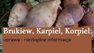 Brukiew, Karpiel, Korpiel - uprawa