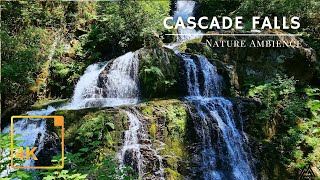 Cascade Waterfall in 4K - Brilliant Rainforest Waterfall with Natural White Noise