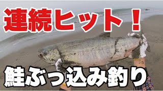 【サケ釣り】砂浜から鮭を狙い仕掛けを投げたら・・・【連続ヒット】鮭釣り　アキアジ釣り　Japanese salmon fishing and meals