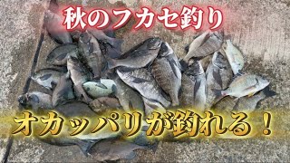 【フカセ釣り】秋はオカッパリで爆釣！波止グレの仕掛けも紹介♪