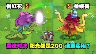 PVZ：番红花VS金缕梅！阳光都是200，都是魔法，谁更厉害？【庄先森解说】