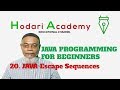 Java Programming for Beginners - 20. Java Escape Sequences
