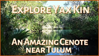 Yax Kin: One of the best cenotes near Tulum! 🌴🏊‍♂️ Travel \u0026 Adventures in the Riviera Maya 🏖️