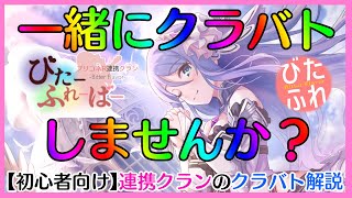 【プリコネR】びたふれの一日のクラバト進行解説【初心者向け】