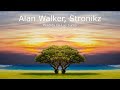 alan walker style stronikz lost in the lights official music