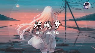 Akie秋绘 - 琉璃梦『请别将美好的事物都笼统归作奇迹，我们经历过的拥有过的确实在那里。』《魂器學院系列曲之琉璃主題曲》【动态歌词MV】