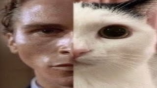 Shitpost compilation 4