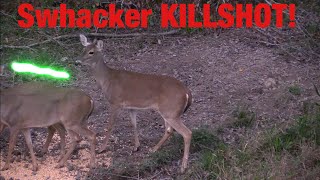 Swhacker KILLSHOT | Slow-Motion | Whitetail Bowhunting