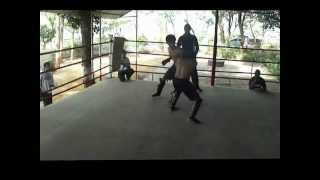 IAFL Indian amateur fight leauge