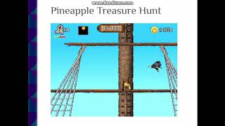 Pineapple Treasure Hunt - An old memory