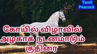 கோயில் திருவிழாவில் குதிரையின் அற்புத நடனம் || Horse dance in Tamil | Tamil Peacock