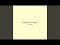 Fragments Tranquil