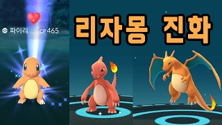 포켓몬GO 리자몽 진화! 파이리 둥지 노해근린공원에서 리자드 리자몽 진화시키다! | 훈토이TV