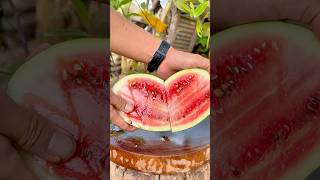 Fresh cutting ripe watermelon with sound natural #fresh #reels #great #like #shorts #satisfying