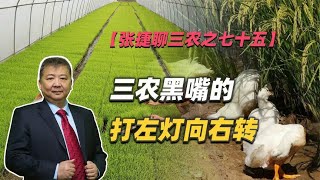 【张捷聊三农之七十五】三农黑嘴的打左灯向右转