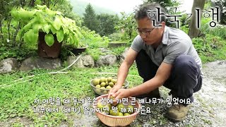 한국기행 - Korea travel_우리는 백두대간에 삽니다 3부- 덕유산 사나이들의 순정_#002