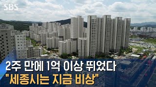 2주 만에 1억 이상 뛰었다…\