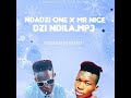 DZI NDILA BY NDADZI ONE X MR NICE [ PROD BY MR NICE ]