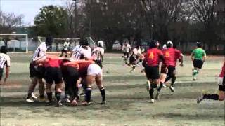 rugby