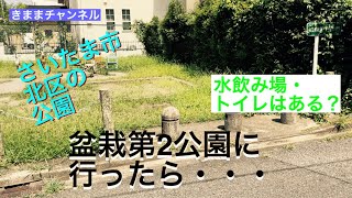 埼玉県さいたま市の　盆栽第2公園に行ったら・・・　【ランニング】【ジョギング】【ポケ活】