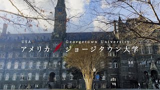 早稲田大学留学リポート2023 #7 ジョージタウン大学/ Waseda University Study Abroad Report Georgetown University