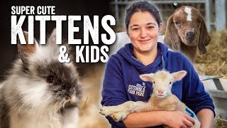 Super Cute Kittens & Kids - Adam Henson's Farm Diaries - Fridays with Fran Ep23