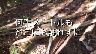 電気牧柵設置【我流】　山地酪農　珠の牧　令和開拓記　2020/1/22