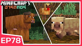 หมื่นรักการปศุสัตว์หา วัว-หมู-ไก่ สายพันธุ์ใหม่ | Minecraft ฮาร์ดคอร์ EP78