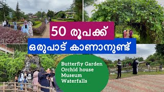 അടുത്ത ഫാമിലി ട്രിപ്പ് ഇങ്ങോട്ട് പൊയ്ക്കോളൂ Nilambur trip plan